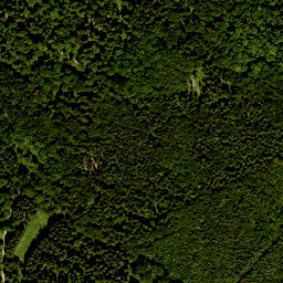 Satellite imagery of Totnansberg, DE