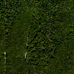 Satellite imagery of Totnansberg, DE