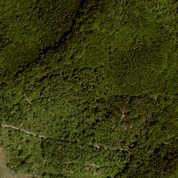 Satellite imagery of Altenburg bei Trappstadt, DE