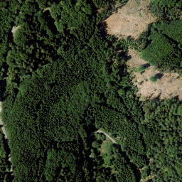 Satellite imagery of Wolfskehl, DE