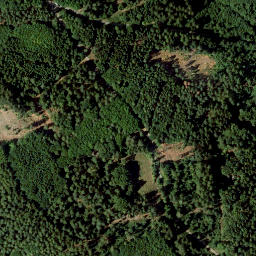 Satellite imagery of Wolfskehl, DE