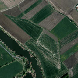 Satelita