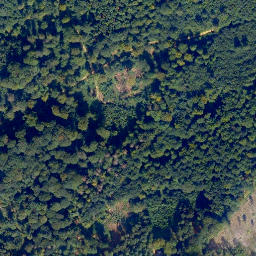 Satellite imagery of Küh-Kopf, DE