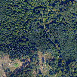 Satellite imagery of Küh-Kopf, DE