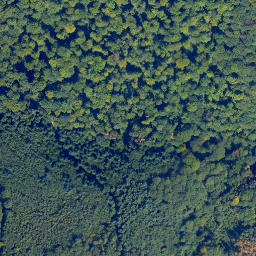 Satellite imagery of Küh-Kopf, DE