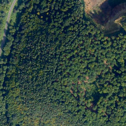 Satellite imagery of Burgkopf, DE