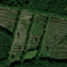 Satellite imagery of Mainzer Kopf, DE