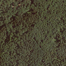 Satellite imagery of Geigenberg, DE