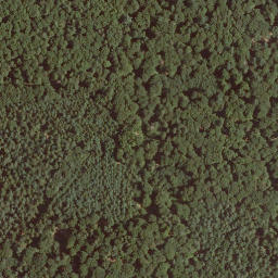 Satellite imagery of Geigenberg, DE