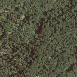 Satellite imagery of Das Hoherod, DE