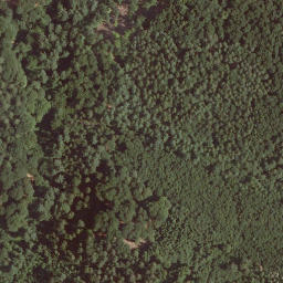 Satellite imagery of Das Hoherod, DE