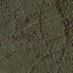 Satellite imagery of Steinröde, DE