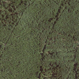 Satellite imagery of Steinröde, DE