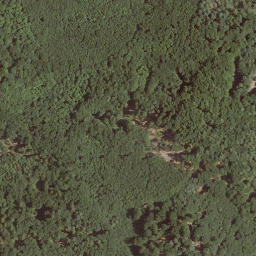 Satellite imagery of Homburg, DE