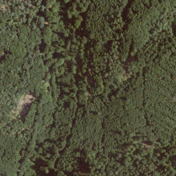 Satellite imagery of Homburg, DE