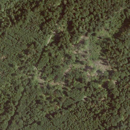 Satellite imagery of Homburg, DE