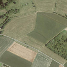 Satellite imagery of Pflucksberg, DE
