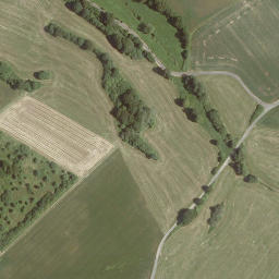 Satellite imagery of Pflucksberg, DE