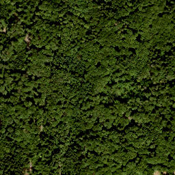 Satellite imagery of Knörzchen, DE