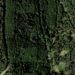 Satellite imagery of Wolfskehl, DE