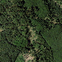 Satellite imagery of Wolfskehl, DE