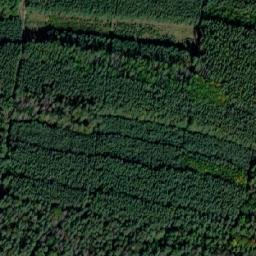 Satellite imagery of Holý vrch [Brodce nad Jizerou], CZ