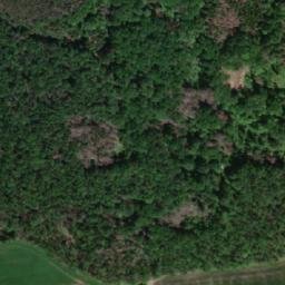 Satellite imagery of [Bohuslavice nad Metují] GSM, CZ