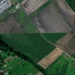 Satelita