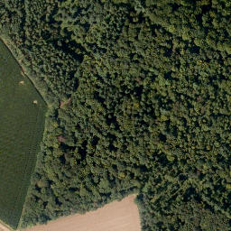 Satellite imagery of Bayer-Berg, DE