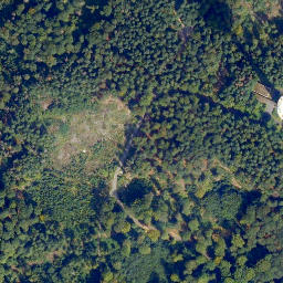 Satellite imagery of Küh-Kopf, DE