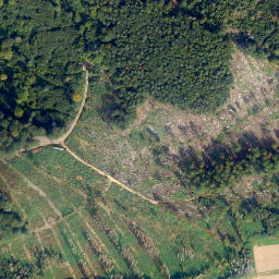 Satellite imagery of Lohberg, DE