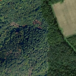Satellite imagery of Burgkopf, DE