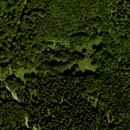 Satellite imagery of Erlenberg, DE