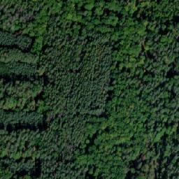 Satellite imagery of (U Kalu) [Luštěnice], CZ