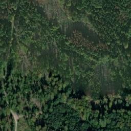 Satellite imagery of Divočák [Stará Červená Voda-Nová Červená Voda], CZ