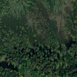 Satellite imagery of Divočák [Stará Červená Voda-Nová Červená Voda], CZ