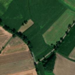 Satelita