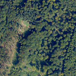 Satellite imagery of Küh-Kopf, DE
