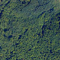 Satellite imagery of Küh-Kopf, DE