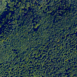 Satellite imagery of Augusta-Höhe, DE