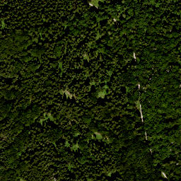 Satellite imagery of Erlenberg, DE