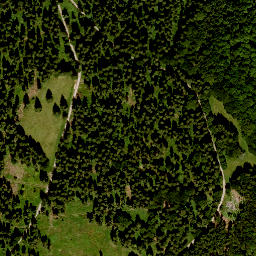 Satellite imagery of Erlenberg, DE