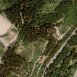 Satellite imagery of Mühlberg, DE