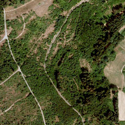 Satellite imagery of Mühlberg, DE