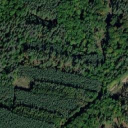 Satellite imagery of (U Kalu) [Luštěnice], CZ