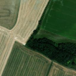 Satellite imagery of Hoříněveské lípy [Hořiněves], CZ