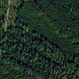 Satellite imagery of Divočák [Stará Červená Voda-Nová Červená Voda], CZ