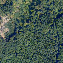 Satellite imagery of Loß-Kopf, DE