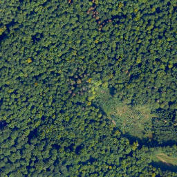 Satellite imagery of Loß-Kopf, DE