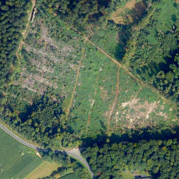 Satellite imagery of Wolfbusch, DE